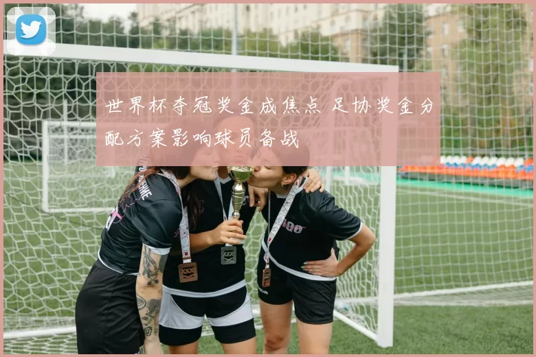 世界杯夺冠奖金成焦点 足协奖金分配方案影响球员备战