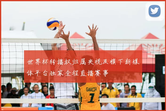 世界杯转播权归属央视及旗下新媒体平台独家全程直播赛事