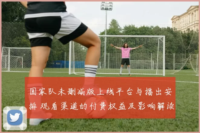 国家队未删减版上线平台与播出安排 观看渠道的付费权益及影响解读