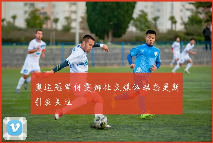 奥运冠军何雯娜社交媒体动态更新引发关注