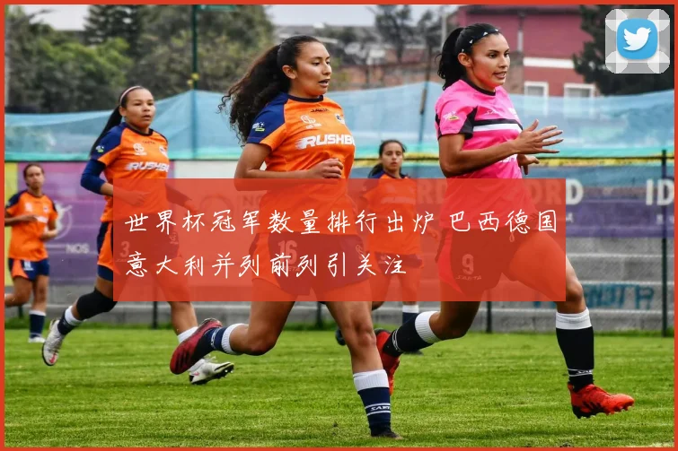 世界杯冠军数量排行出炉 巴西德国意大利并列前列引关注