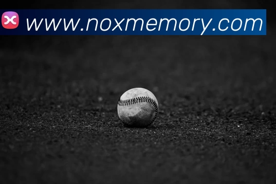 安博站官网登录入口APP 封面图